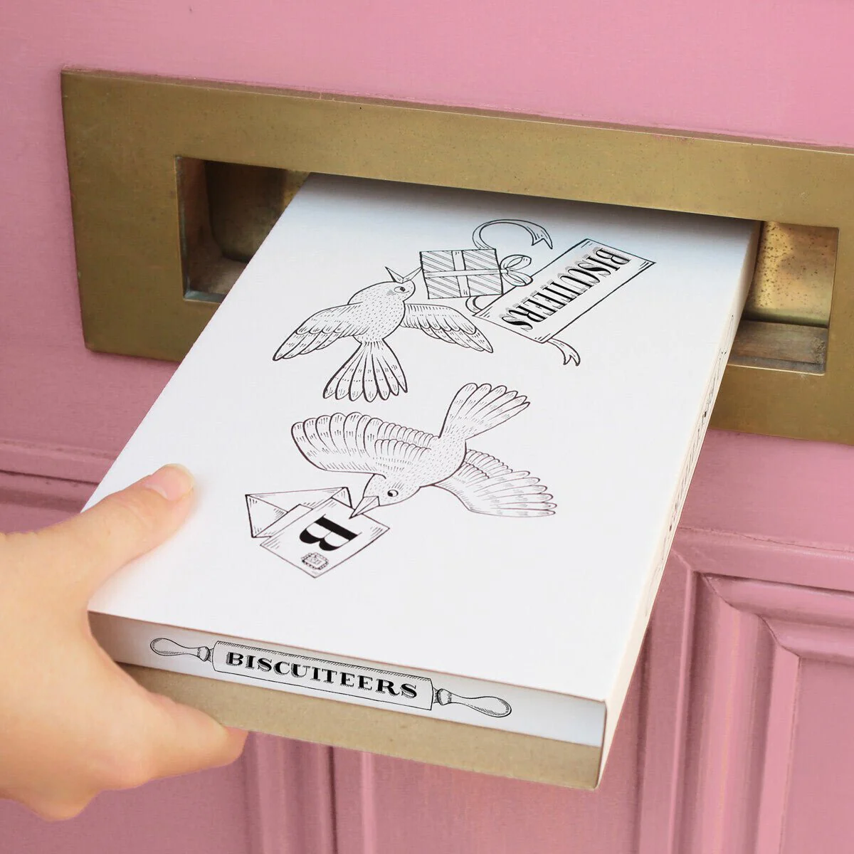 DIY 3D Dinosaur Letterbox Kit - Image 3