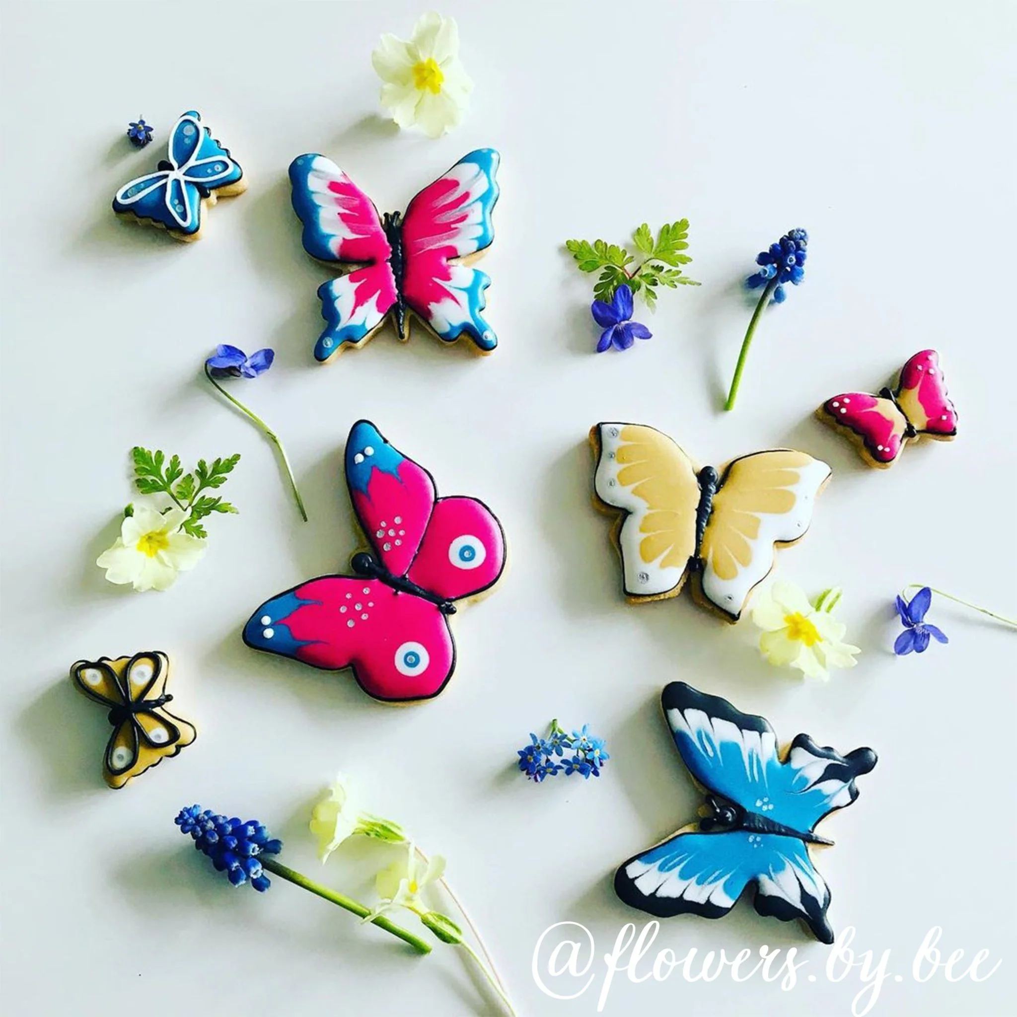 Beautiful Butterflies - Image 5
