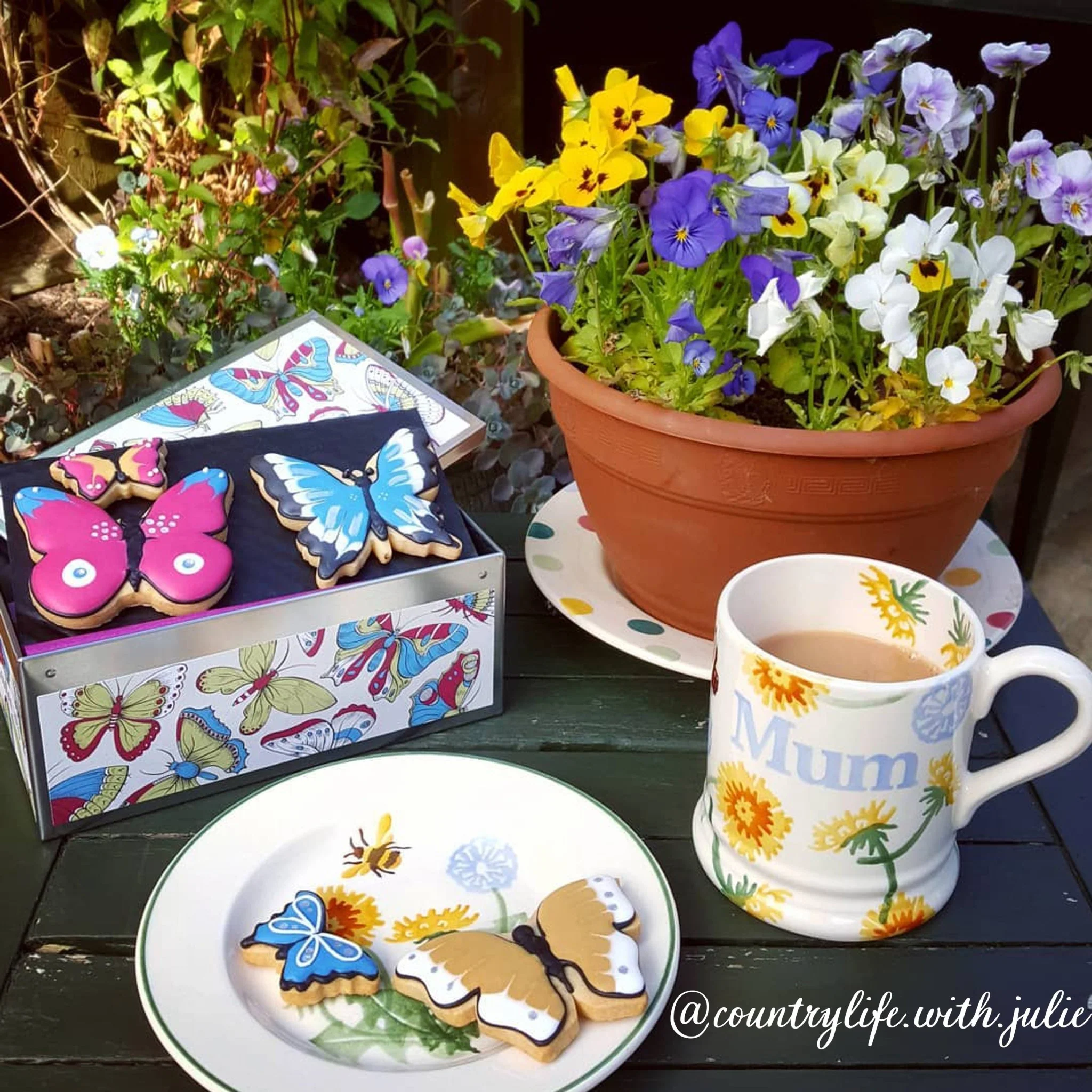 Beautiful Butterflies - Image 6