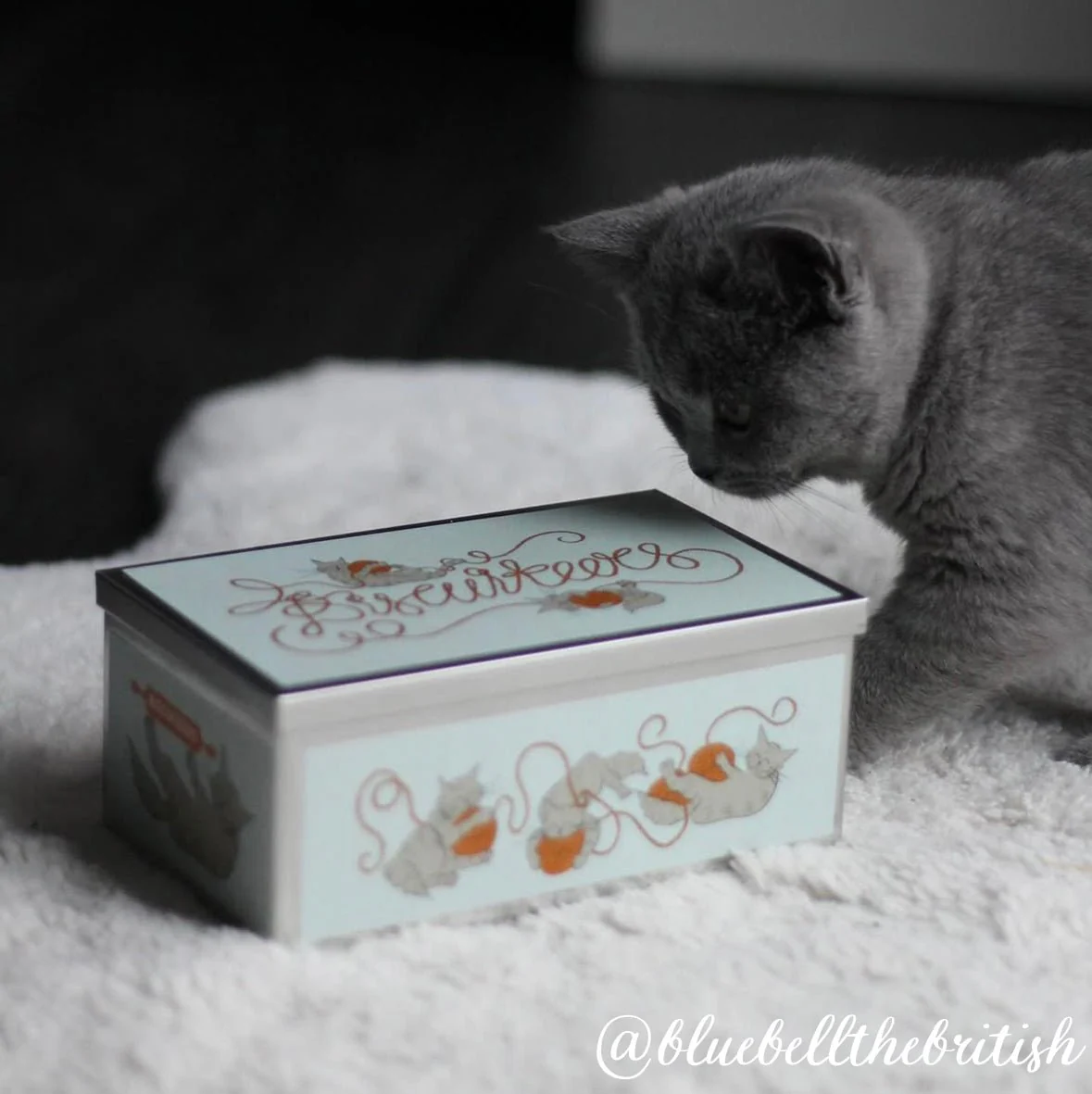 Cat Biscuit Tin - Image 4