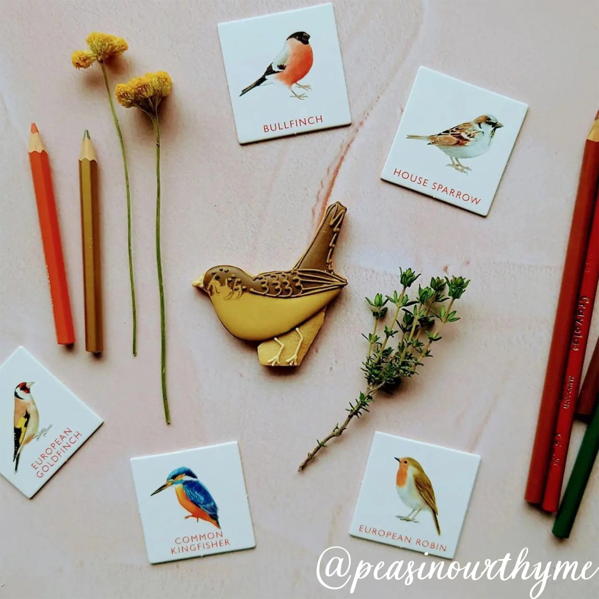 Garden Birds Letterbox Biscuits - Image 4