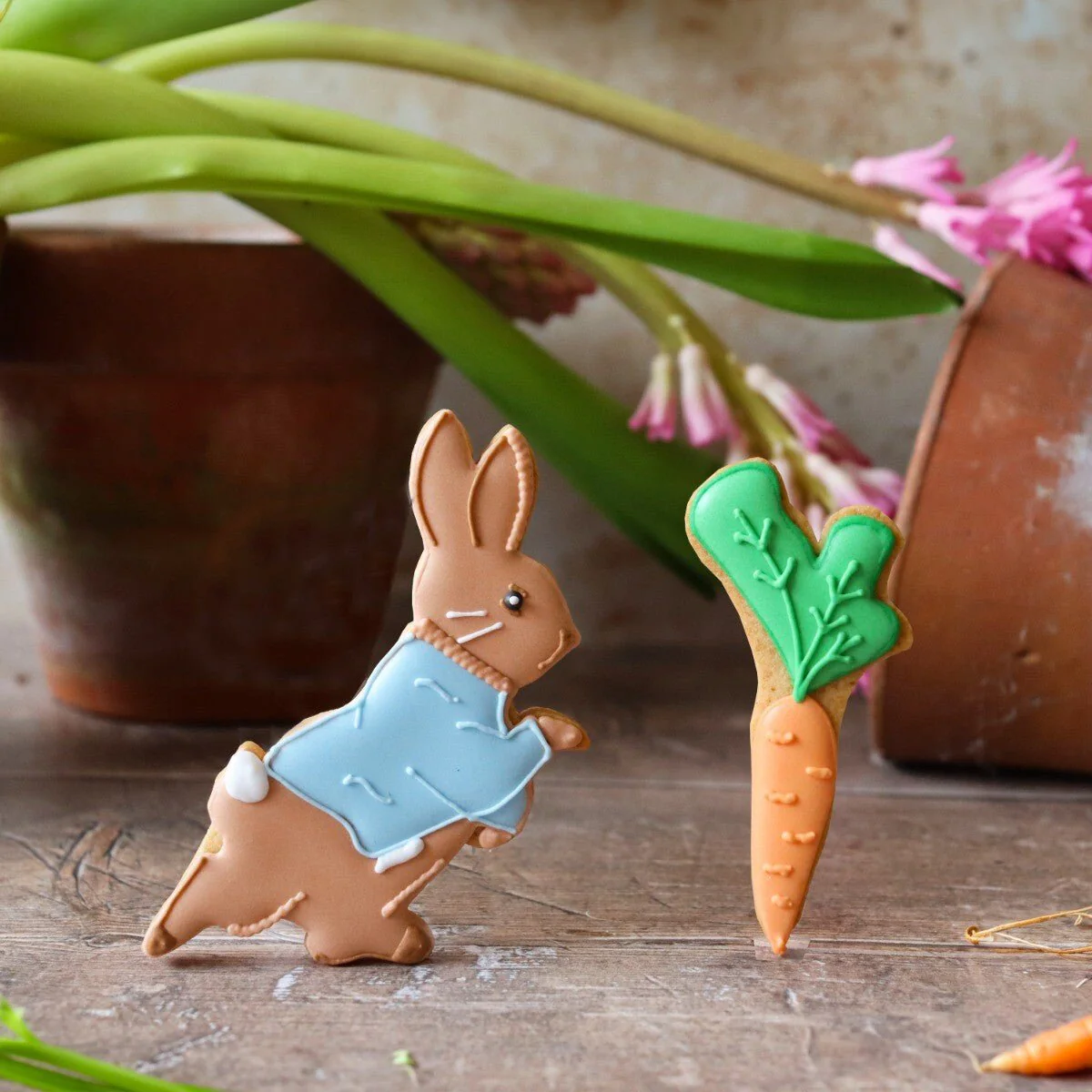 Peter Rabbit Letterbox Biscuits - Image 2